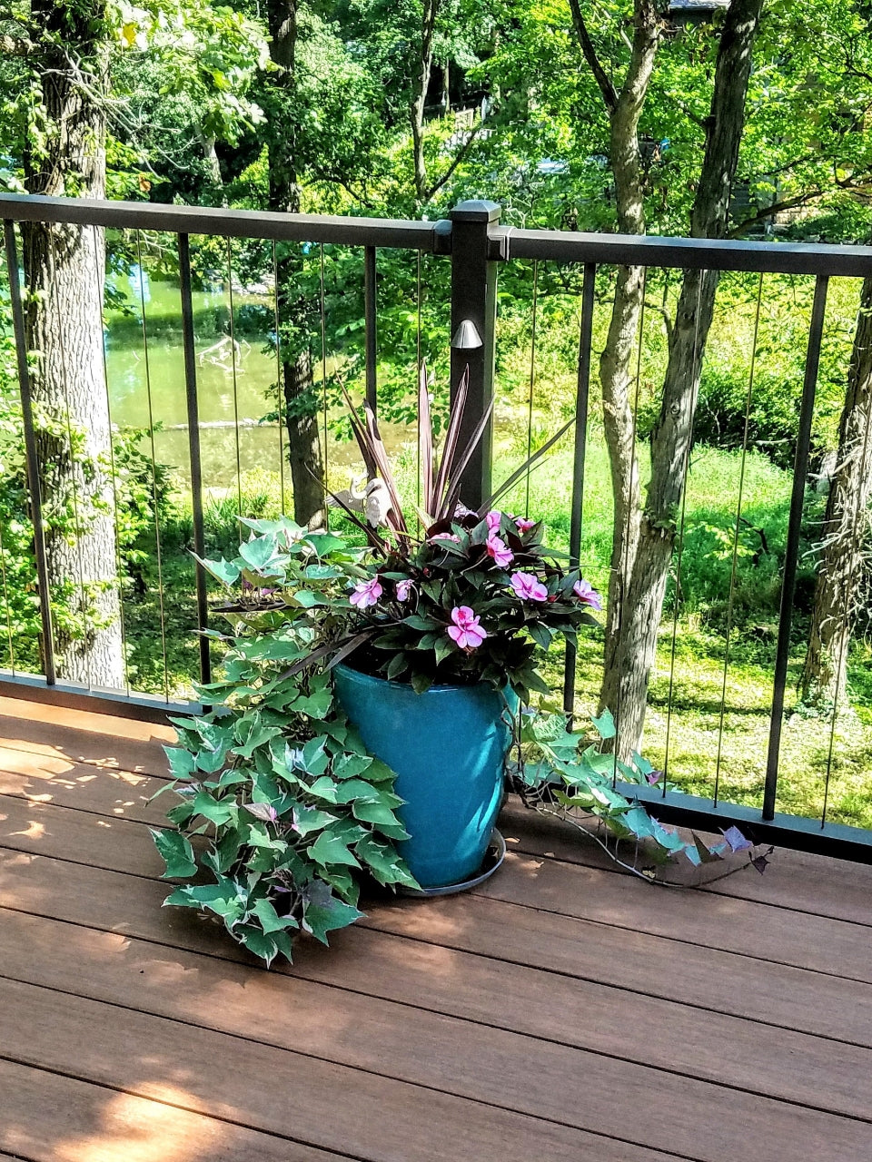 Westbury C-80 Vertical Cable Railing VertiCable on a beautiful lake front property with green folleage and a flower in a pot