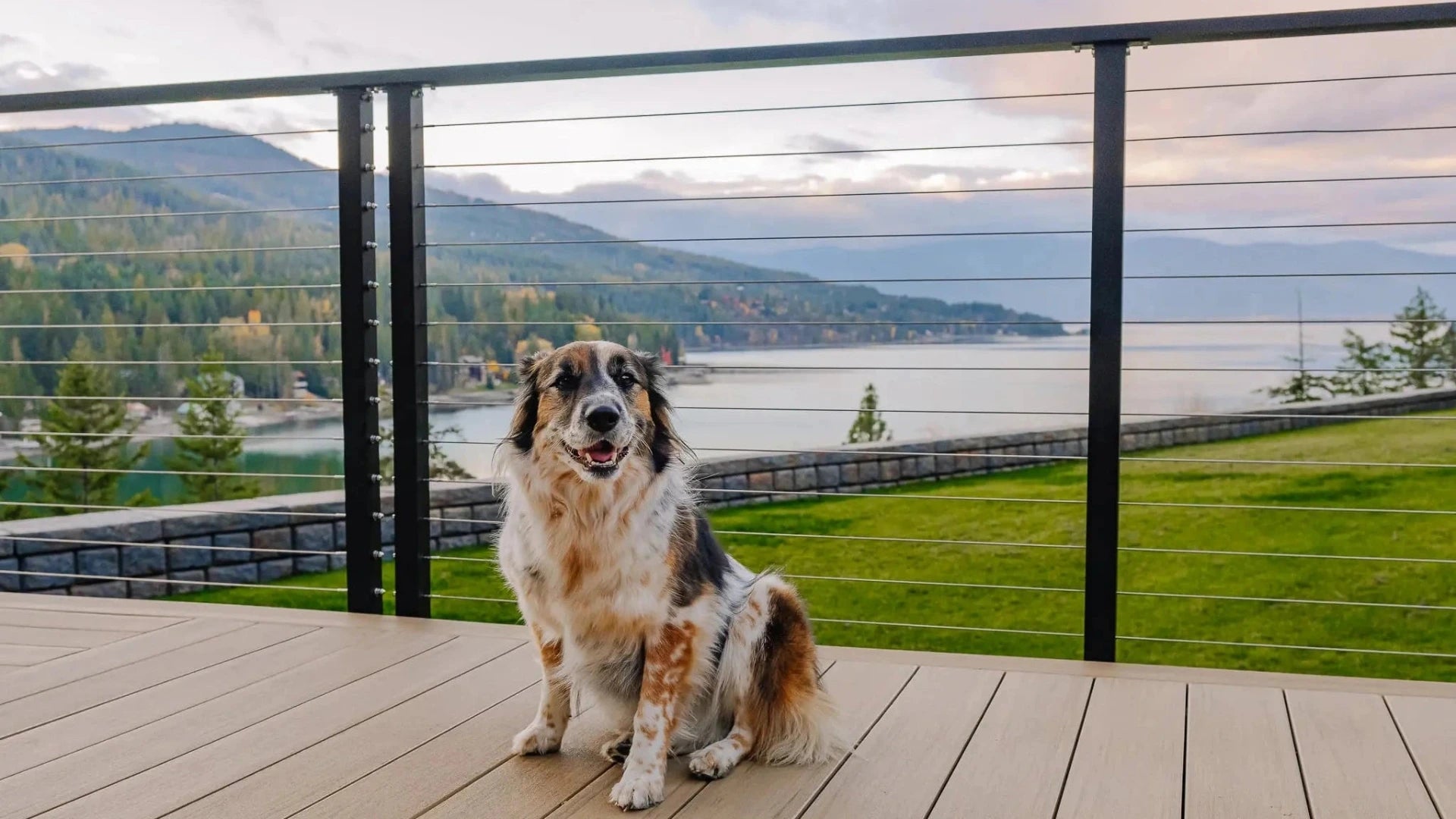 Maisy, the proud mascot and inspiration behind Maisy railing, sits proudly in front of the very railing she is named after.